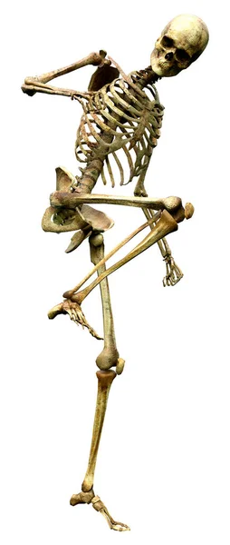 Σκελετικά Οστά Που Απομονώνονται Λευκό Φόντο — Φωτογραφία Αρχείου