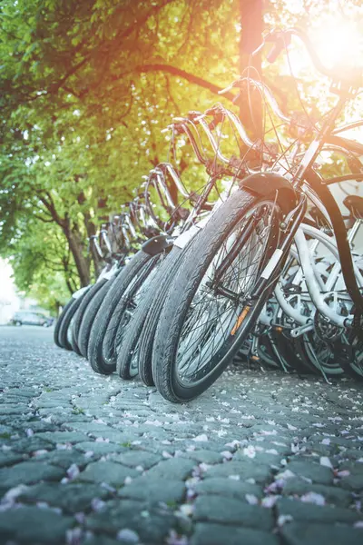 Parkering Cyklar För Uthyrning Staden Turism — Stockfoto