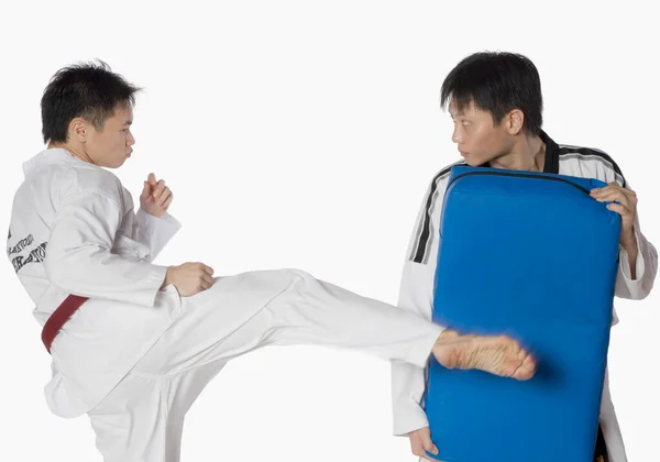 Male Karate Instructor Teaching Martial Arts Young Man — Stock Photo, Image