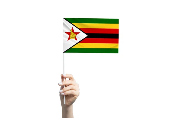 Όμορφο Γυναικείο Χέρι Κρατώντας Σημαία Της Ζιμπάμπουε Απομονωμένο Λευκό Φόντο — Φωτογραφία Αρχείου