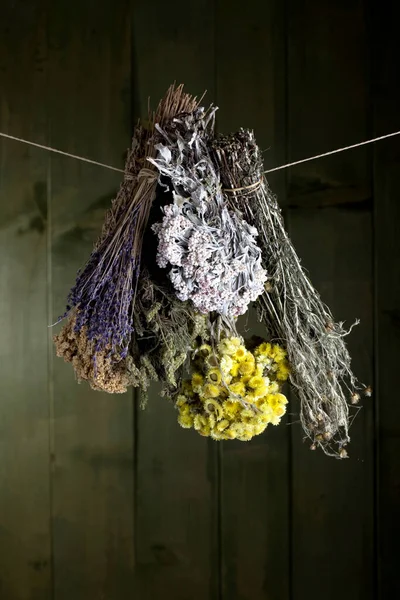 Different Bouquets Herbs Hanging Front Green Wooden Wall — Stock Photo, Image