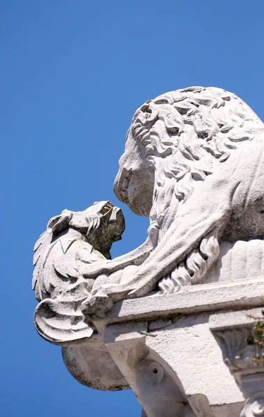 Статуя Порталі Собору Святого Мартіна Лукці Італія — стокове фото