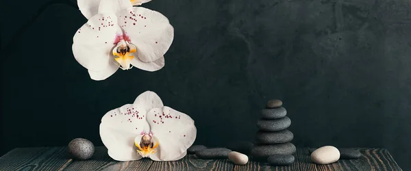 Torre Piedras Flores Orquídea Sobre Fondo Gris — Foto de Stock