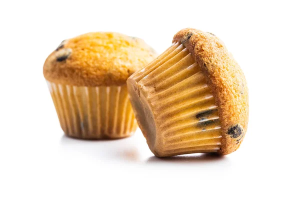 Vanillemuffins Süße Cupcakes Isoliert Auf Weißem Hintergrund — Stockfoto