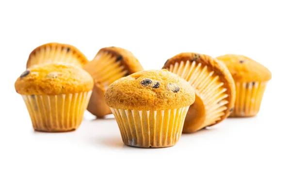 Vanillemuffins Süße Cupcakes Isoliert Auf Weißem Hintergrund — Stockfoto