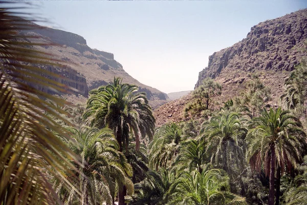Schöne Aussicht Auf Die Berge Der Wüste — Stockfoto