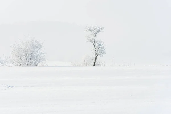 Snowy Foggy Foothills Alps — Stock Photo, Image