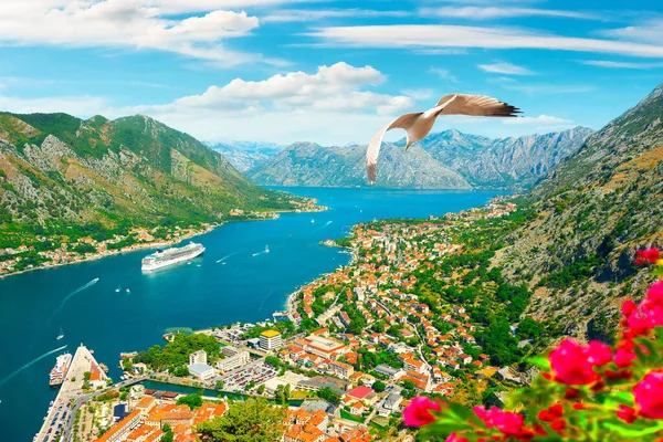 Luchtfoto Van Stad Kotor Montenegro — Stockfoto