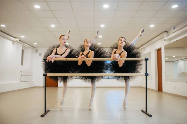 Elegantes Bailarinas Adolescentes Posa Barra Clase Escuela Ballet Bailarinas Clase —  Fotos de Stock