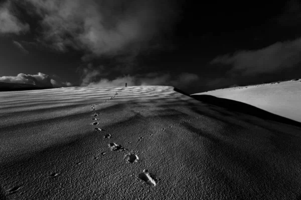 Zwart Wit Foto Van Een Prachtige Zonsondergang Woestijn — Stockfoto
