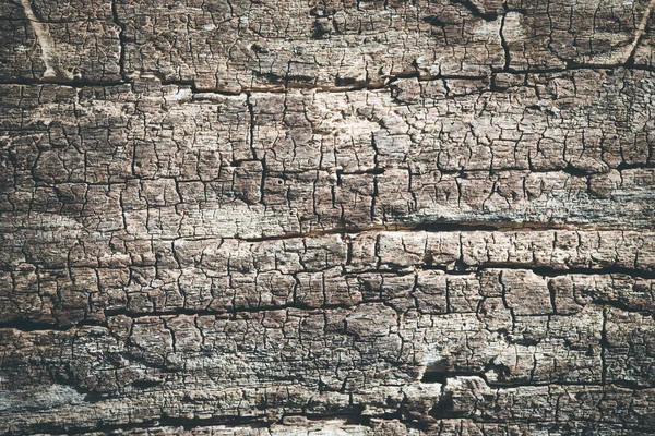 古い木の木の樹皮構造のクローズアップ画像 — ストック写真