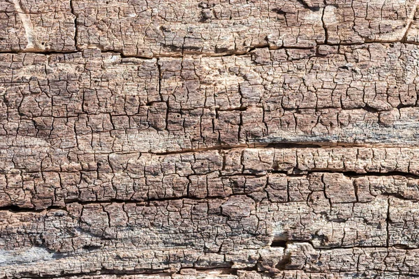 Imagen Cerca Estructura Corteza Árbol Madera Árbol Viejo — Foto de Stock