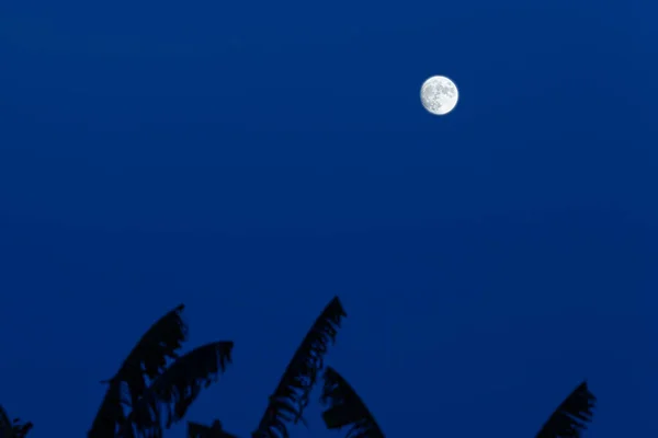 Lua Céu Noturno — Fotografia de Stock