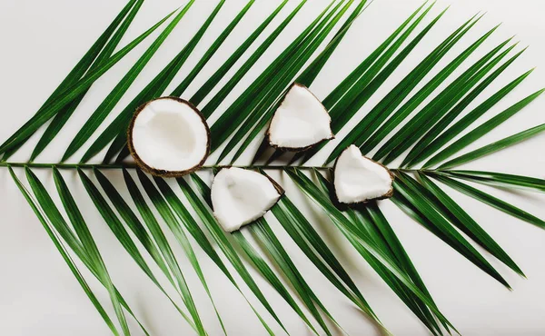 stock image Broken coconuts on white background on leaf. White coconut pulp. High quality photo