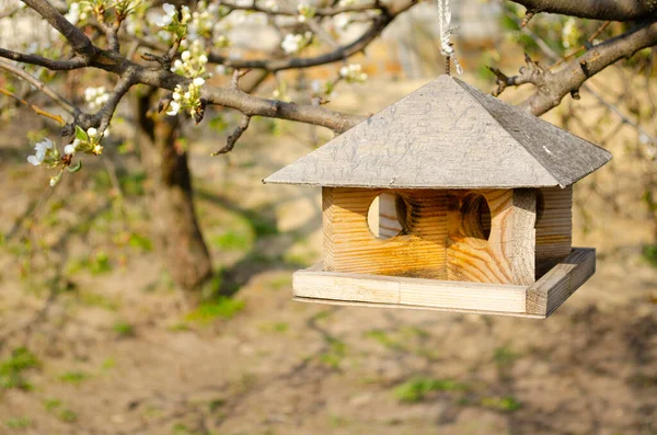 Alimentador Pássaros Pendurado Galho Parque Primavera Ajudando Pássaros Alimentando — Fotografia de Stock