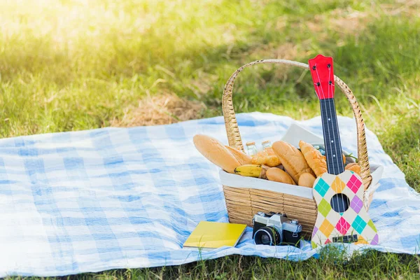 Piknik Wattled Kosár Kenyérrel Élelmiszer Gyümölcs Ukulele Retro Kamera Kék — Stock Fotó