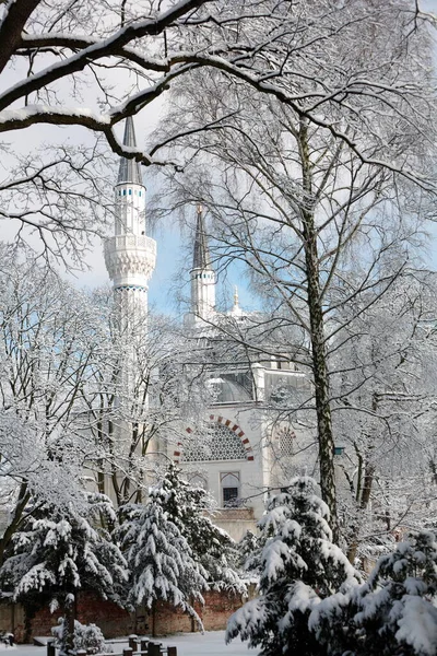 Зимний Пейзаж Снегом Деревьями — стоковое фото