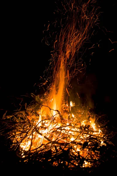 Feu Brûlant Dans Forêt — Photo