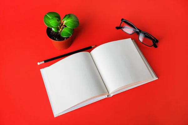 Boş Kitap Gözlük Kırmızı Kağıtta Bitki Kalem Kırtasiye Malzemeleri Tasarımınızı — Stok fotoğraf
