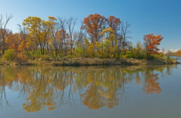 Waldreflexionen Herbstlicht Bussee Ned Brown Preserve Illinois — Stockfoto