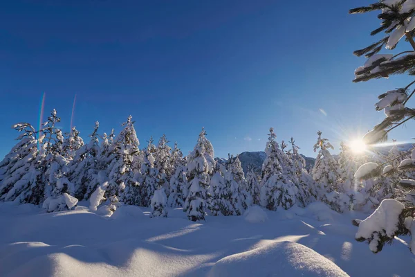 Vinterlandskap Med Nysnö Täckt Skog Och Berg Soluppgång — Stockfoto