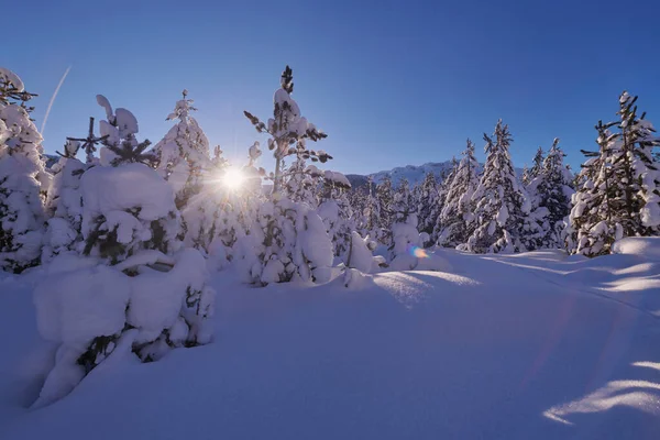 Vinterlandskap Med Nysnö Täckt Skog Och Berg Soluppgång — Stockfoto