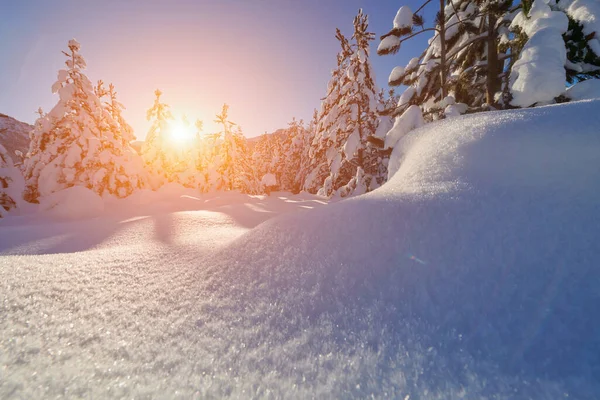 冬季景观 雪地覆盖森林 日出时群山覆盖 — 图库照片