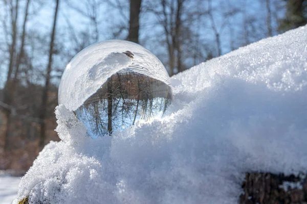 Зимний Лес Снегом Толстой Ветке — стоковое фото