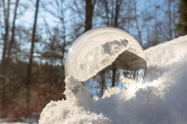 Bosque Invierno Con Nieve Una Rama Gruesa — Foto de Stock