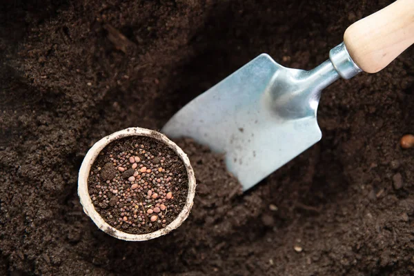 Home Gardening Concept Ashowel Seeds Soil Table Different Microgreens Hobbies — Stock Photo, Image