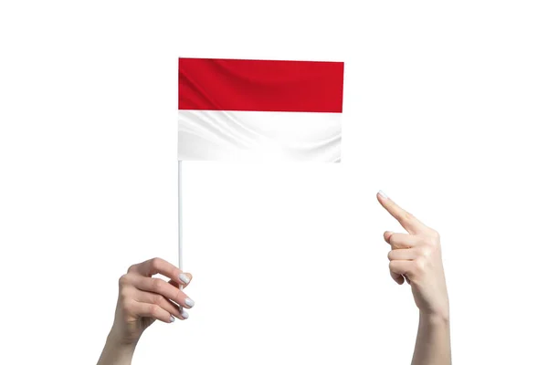 Eine Schöne Weibliche Hand Hält Eine Flagge Von Monaco Der — Stockfoto