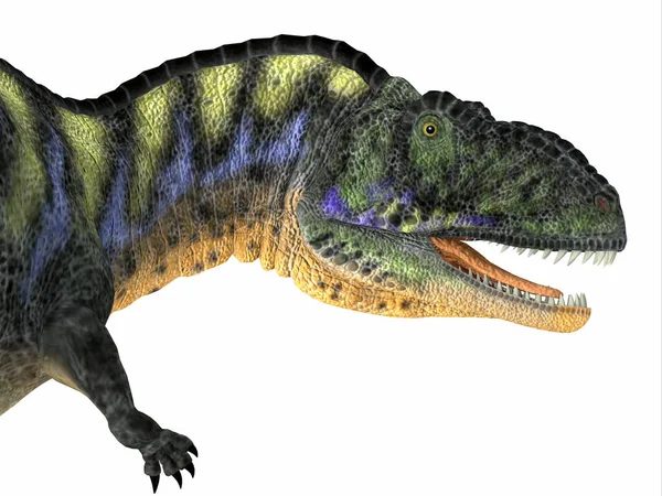 Weergave Van Een Dinosaurus Met Een Groene Achtergrond — Stockfoto