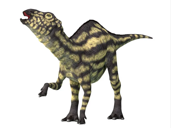 Візуалізація Динозавра Ізольовано Білому Тлі — стокове фото