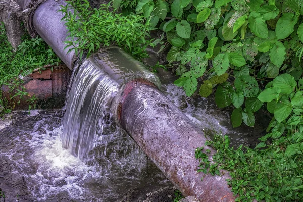 Водный Поток Лесу — стоковое фото