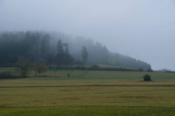 Ομίχλη Κοντά Στο Γερμανικό Χωριό Που Ονομάζεται Hallenberg Φθινόπωρο — Φωτογραφία Αρχείου