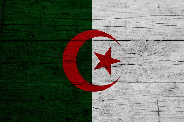 Bandiera Algeria Dipinta Sfondo Ligneo — Foto Stock
