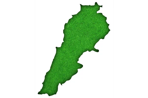 Beyaz Arka Planda Yeşil Yapraklı Nijerya Haritası — Stok fotoğraf