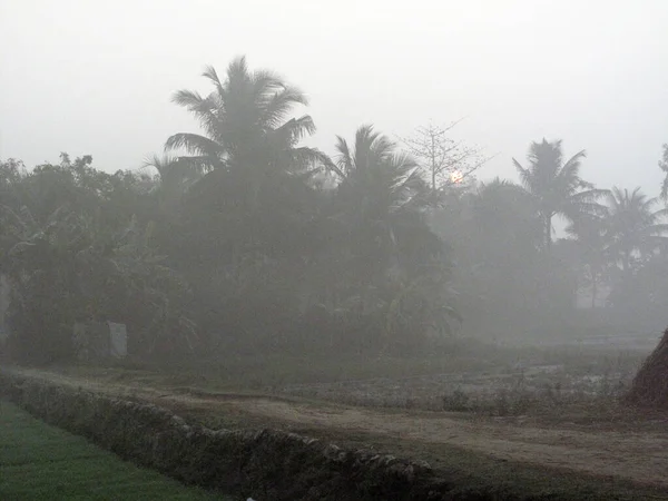 Dimineață Cețoasă Zona Rurală Bengaleză Din Zona Junglei Sundarbans Bengalul — Fotografie, imagine de stoc