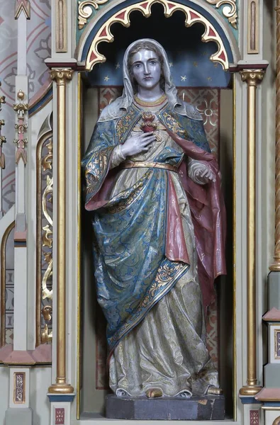 Непорочного Серця Марії Статуя Пресвятого Серця Ісуса Вівтар Церкві Святого — стокове фото