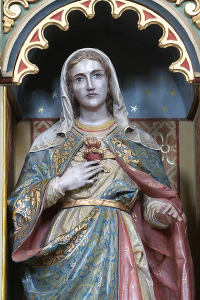 Unbeflecktes Herz Der Marien Statue Auf Dem Jesusaltar Der Kirche — Stockfoto