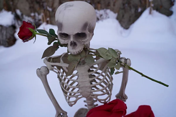 Esqueleto Amor Eterno Con Rosa Roja Nieve Blanca —  Fotos de Stock
