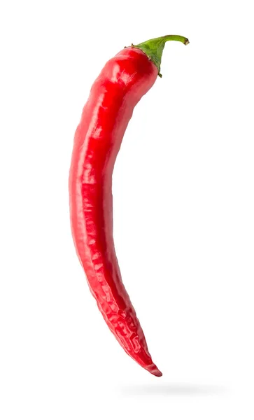 Rode Hete Chili Peper Geïsoleerd Witte Achtergrond — Stockfoto