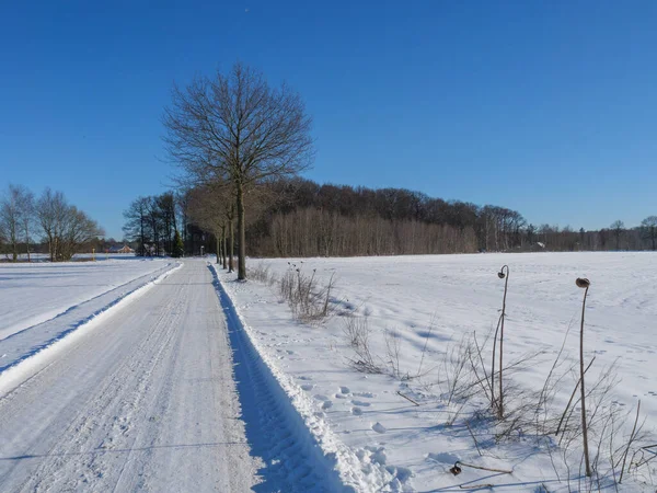 Invierno Westfalia — Foto de Stock