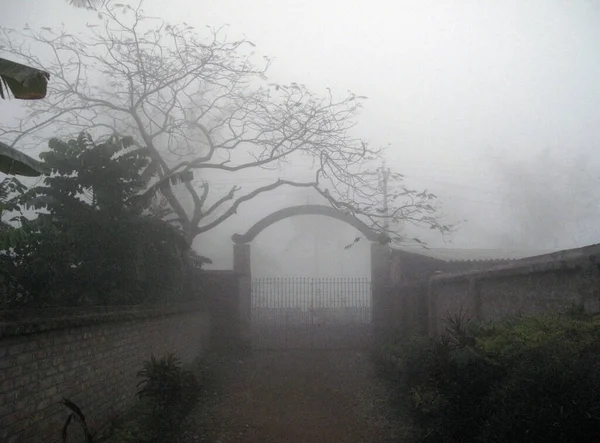 インドの西ベンガル州スンダルバンズジャングルエリアのベンガル地方の霧の朝 — ストック写真