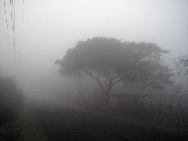 Misty Morning Bengal Countryside Sundarbans Jungle Area West Bengal Índia — Fotografia de Stock