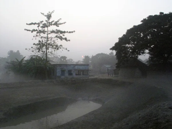 Nebliger Morgen Der Bengalischen Landschaft Sundarbans Dschungel Westbengalen Indien — Stockfoto