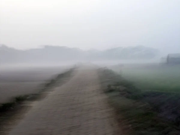 Misty Morning Bengal Countryside Sundarbans Jungle Area West Bengal India — Stock Photo, Image