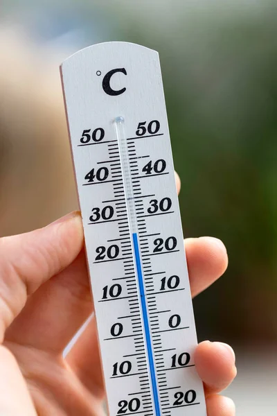 Термометр Лесу — стоковое фото