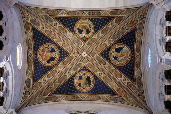 Affresco Sul Soffitto Della Cattedrale San Martino Lucca — Foto Stock