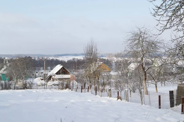 Winter Landscape Snow Covered Trees — Stock Photo, Image